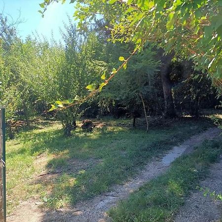 La Colline Aux Oiseaux, La Tranquillite Des Bois Villa Molieres-sur-Ceze Buitenkant foto