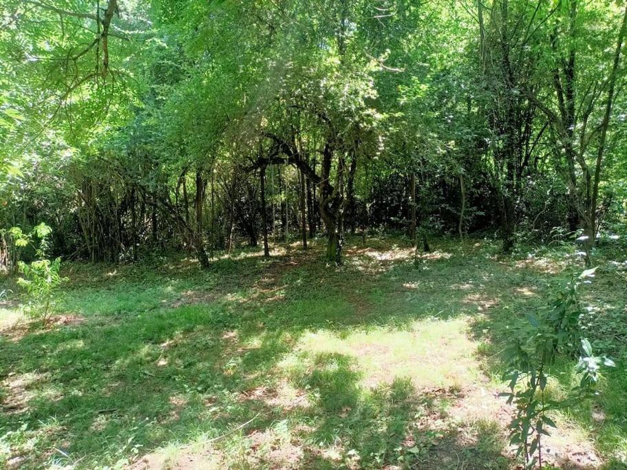 La Colline Aux Oiseaux, La Tranquillite Des Bois Villa Molieres-sur-Ceze Buitenkant foto